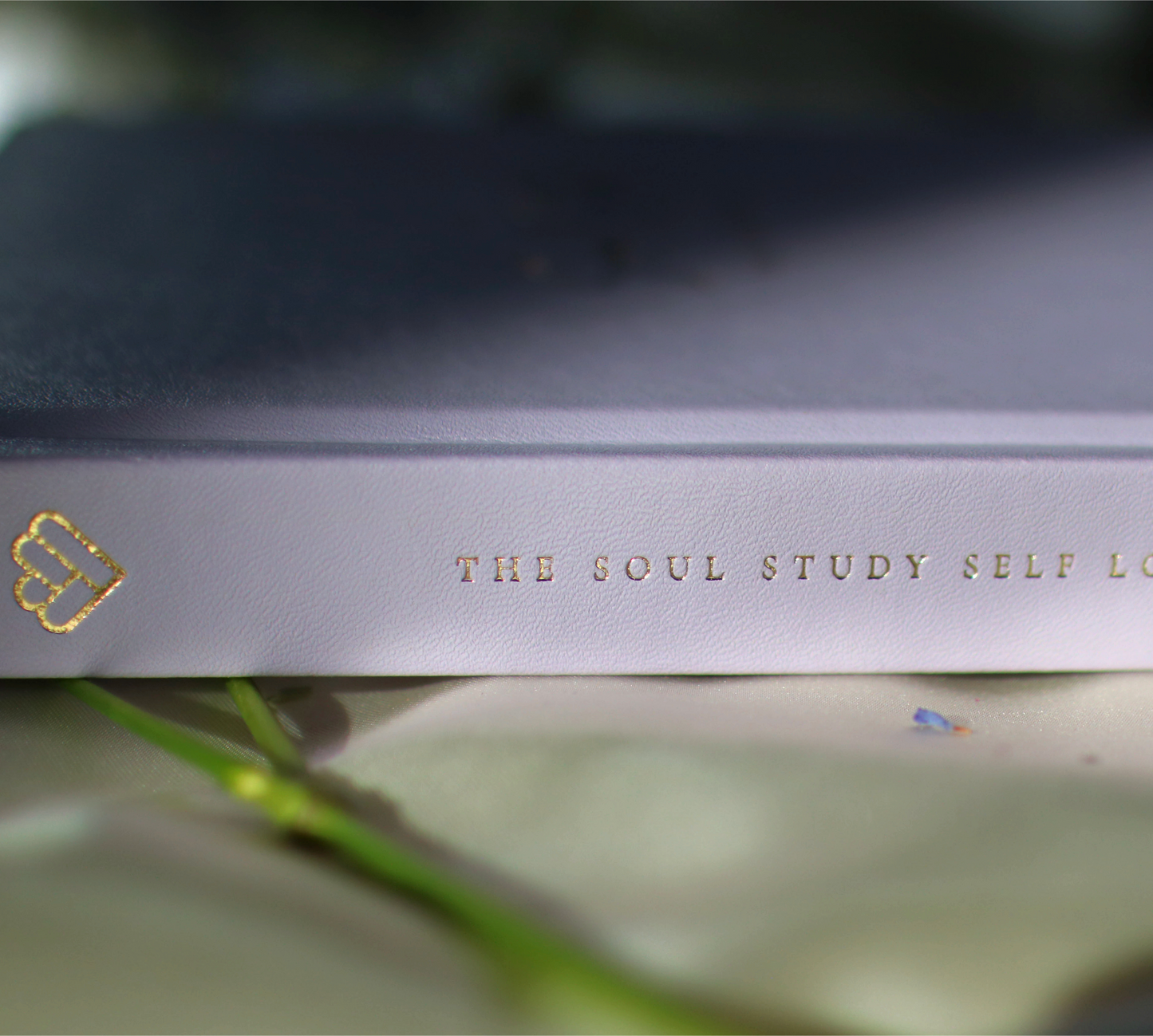 The Soul Study Self Love Journal